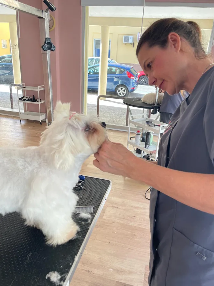 Instructora tratando al perro con el cual se está realizando el curso
